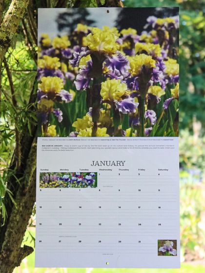 2025 Wall Calendar - 12 months of Iris in Bloom