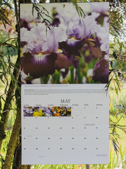 2025 Wall Calendar - 12 months of Iris in Bloom